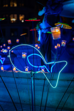 Réalisation - Fête des Lumières 2025