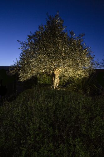 ambiance-projecteur-elios-wiz-pro-2