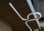 ambiance-profil-serpent-4